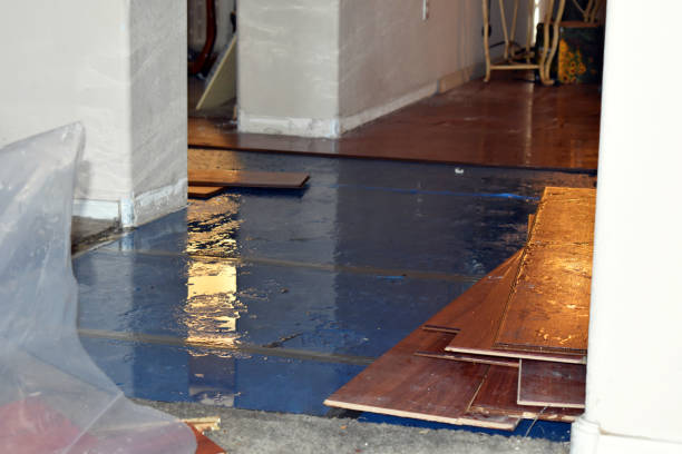 Professional Burst Pipe Cleanup technician working in Bellerose, NY